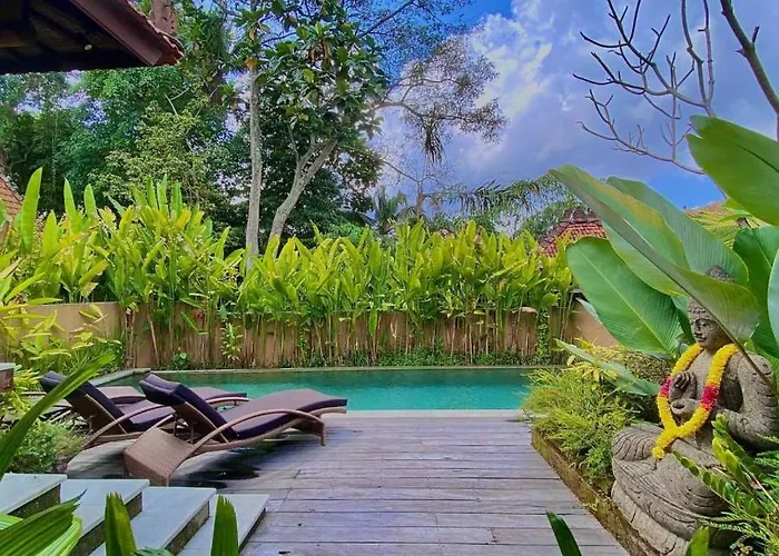 Villa Asrava *